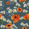 Charming daisies with bright poppies on a gray-blue background. Colorful stylish floral